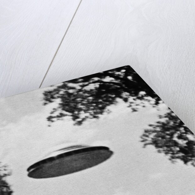 UFO Flying Low Over Trees by Anonymous