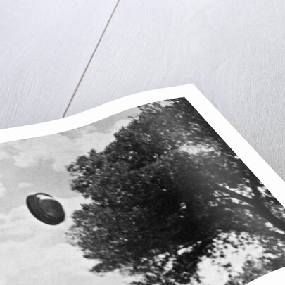 UFO Flying Low Over Tree Line by Anonymous