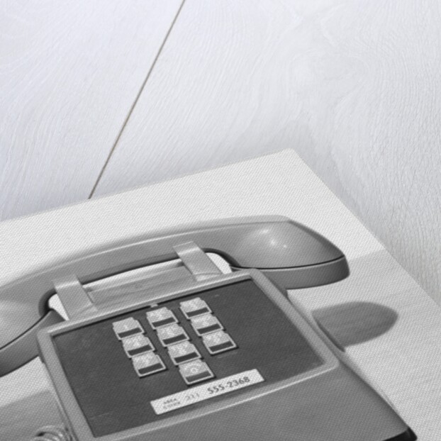 Picture Of A Standard Telephone by Anonymous