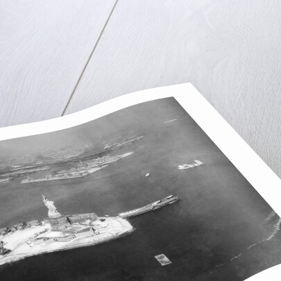 Aerial View Of Bedloe's and Ellis Islands by Anonymous