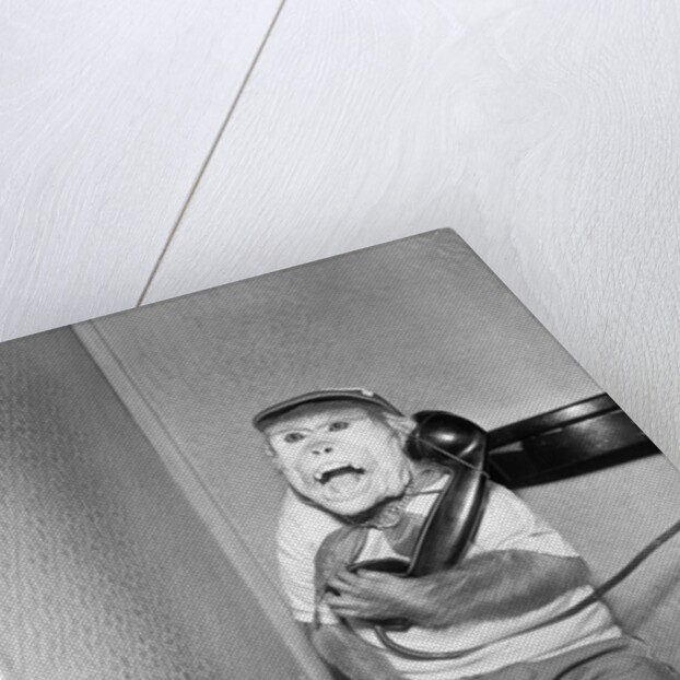 Monkey in Clothing Holds Phone Receiver by Anonymous