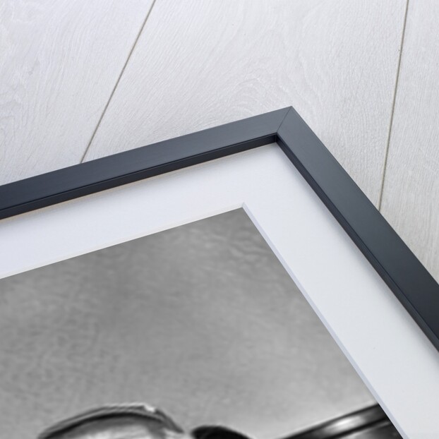 Monkey in Clothing Holds Phone Receiver by Anonymous