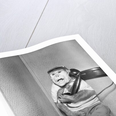 Monkey in Clothing Holds Phone Receiver by Anonymous