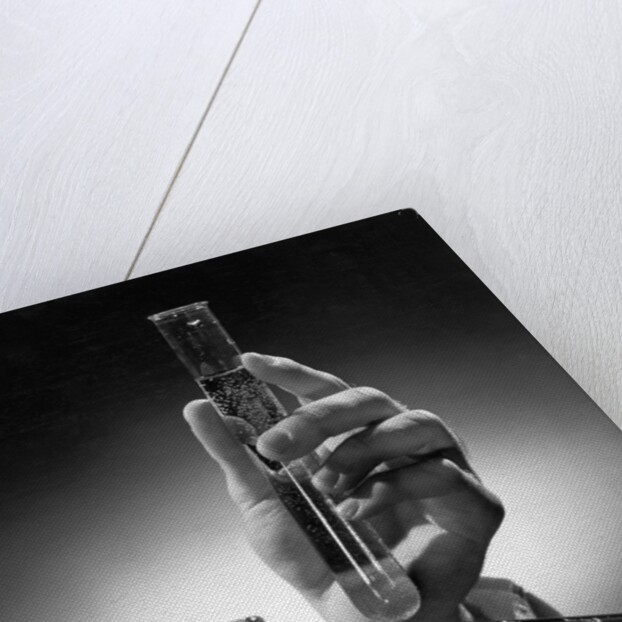 Hand Holding Test Tube by Anonymous