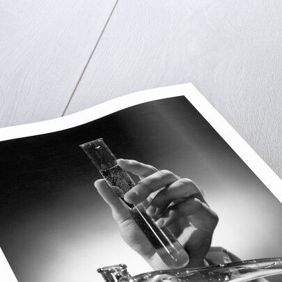 Hand Holding Test Tube by Anonymous