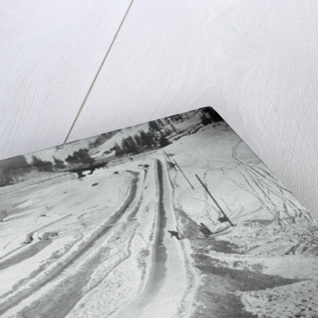 People Skiing and Sledding by Anonymous