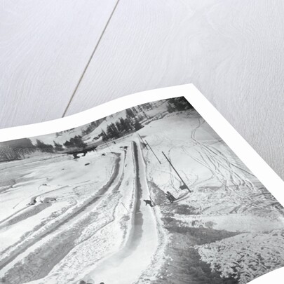 People Skiing and Sledding by Anonymous
