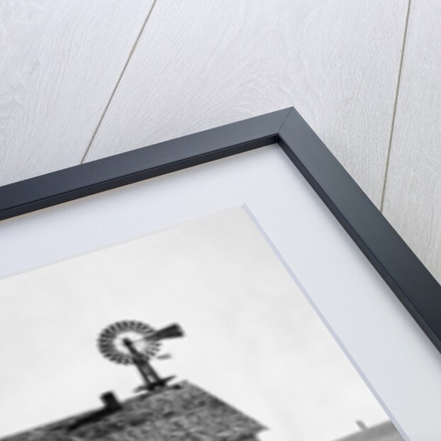 Dust Bowl Farm in Texas by Anonymous