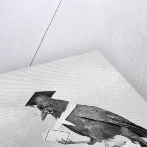Bird with Glasses, Hat, and Folded Paper by Anonymous