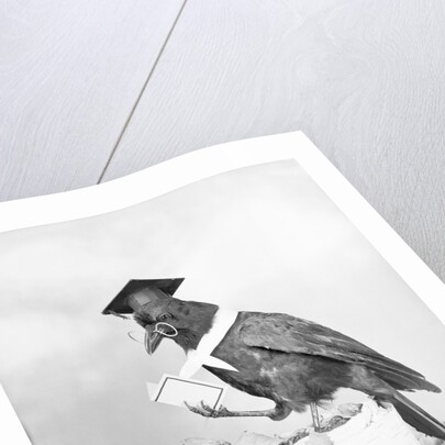 Bird with Glasses, Hat, and Folded Paper by Anonymous