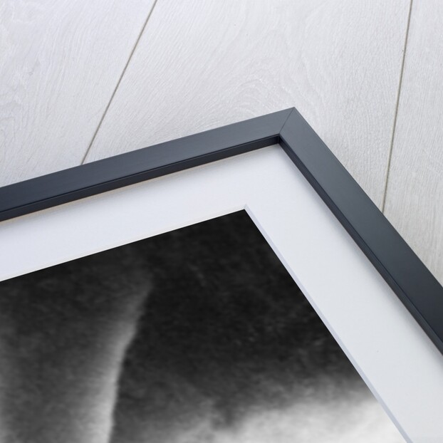 Tornado by Anonymous