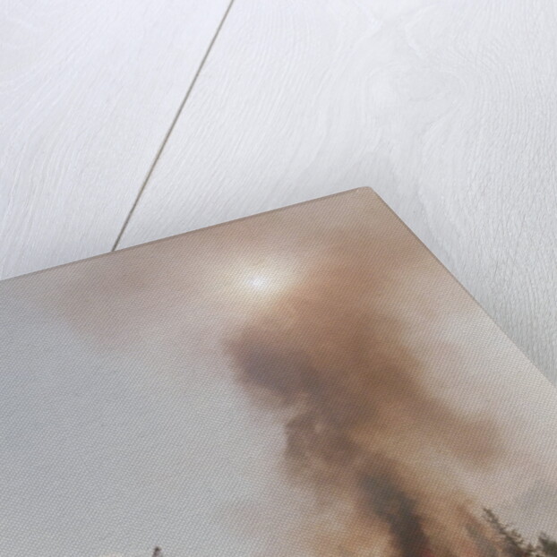 Trees Burning In Forest Fire by Anonymous