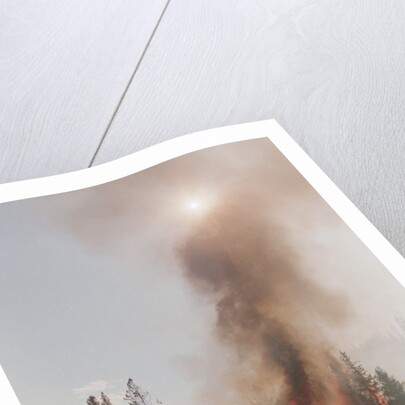 Trees Burning In Forest Fire by Anonymous