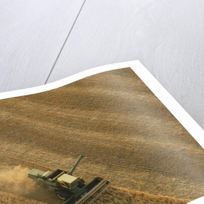 Thrasher Moves Through Wheat Field by Anonymous