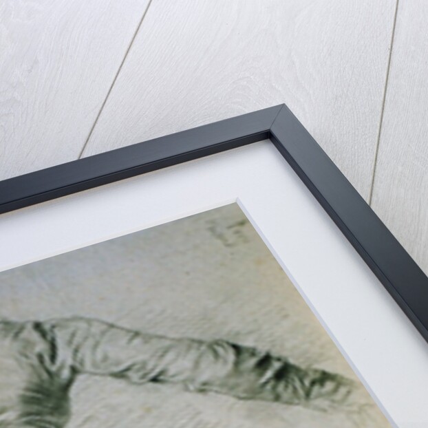 Study of a Draped Woman by Edgar Degas