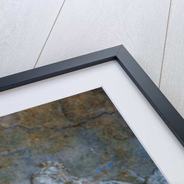 Detail of Saint Catherine Receiving Wedding Ring from The Marriage of Saint Catherine by Veronese