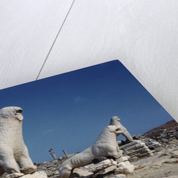 Terrace of the Lions at Delos by Anonymous