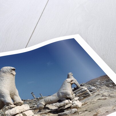 Terrace of the Lions at Delos by Anonymous