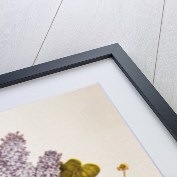 Illustration Depicting a Bouquet of Roses and Lilacs by Anonymous