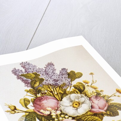 Illustration Depicting a Bouquet of Roses and Lilacs by Anonymous