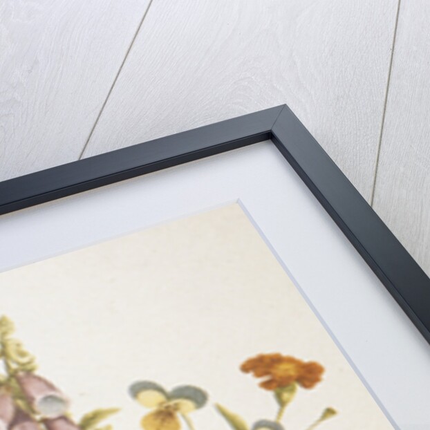 Illustration Depicting a Bouquet of Poppies, Carnations and Foxglove by Anonymous