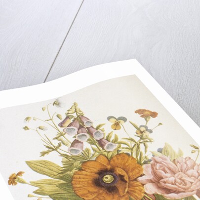 Illustration Depicting a Bouquet of Poppies, Carnations and Foxglove by Anonymous