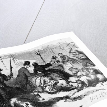 Print Depicting "Pork Lively" - A Sketch from Nature at the Corner of Broadway and Fourth Street by Anonymous