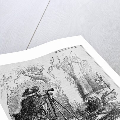 Illustration of Men Surveying Swamp by Anonymous