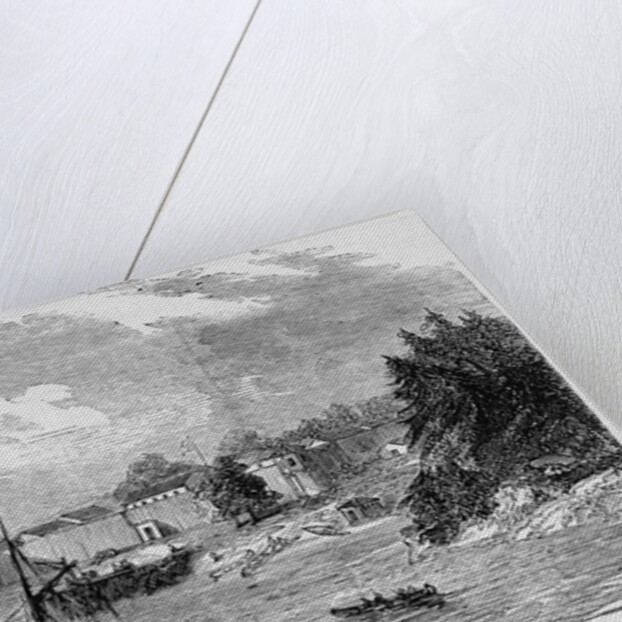 Victoria, Vancouver's Island by Anonymous