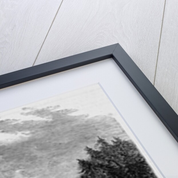 Victoria, Vancouver's Island by Anonymous