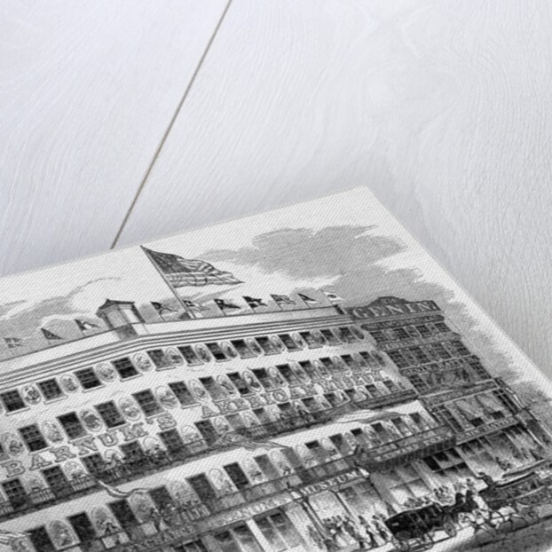 View of the American Museum, Broadway, New York by Anonymous