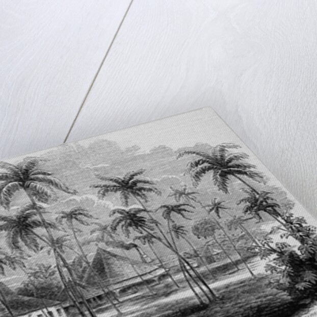 Sugar Plantation by Anonymous