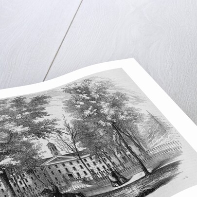 Princeton College by Anonymous