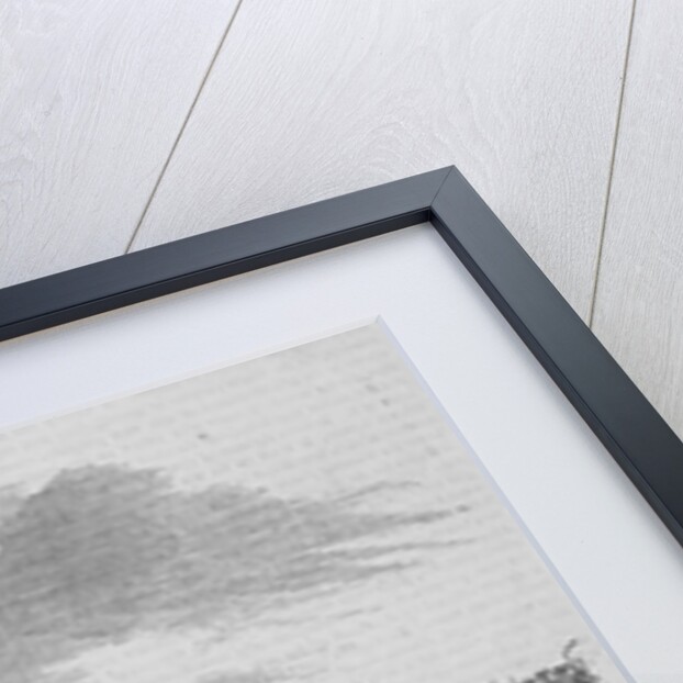 Halifax, Nova Scotia by Anonymous