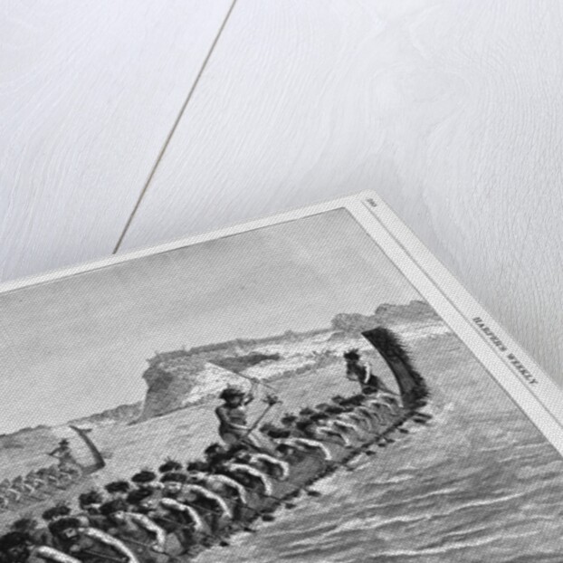 A New Zealand War Canoe Race Illustration by Anonymous