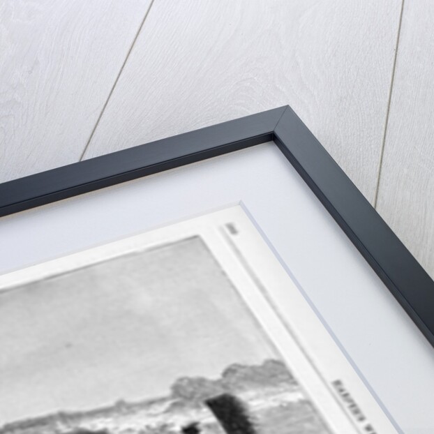 A New Zealand War Canoe Race Illustration by Anonymous