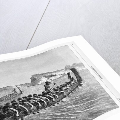 A New Zealand War Canoe Race Illustration by Anonymous