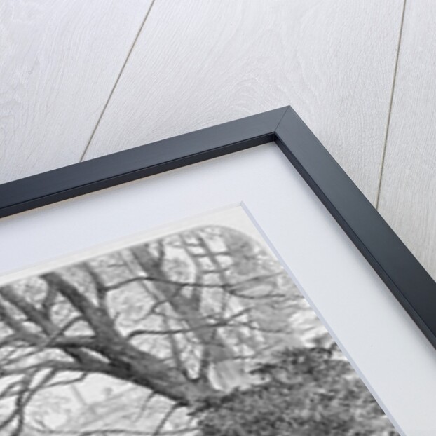 Exiled French Emperor by Anonymous