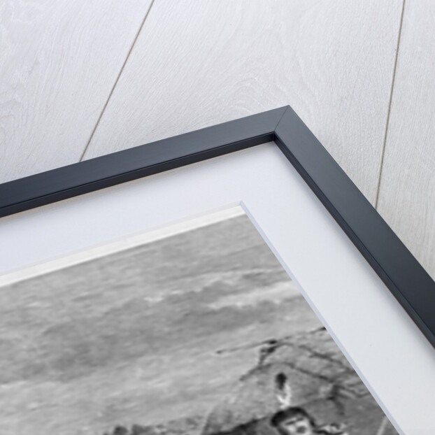 Birch-Bark Indian Wigwams Illustration by Anonymous