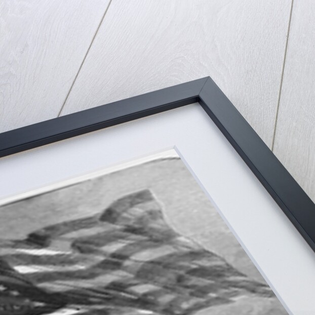 Captain H.M. Bragg by Anonymous