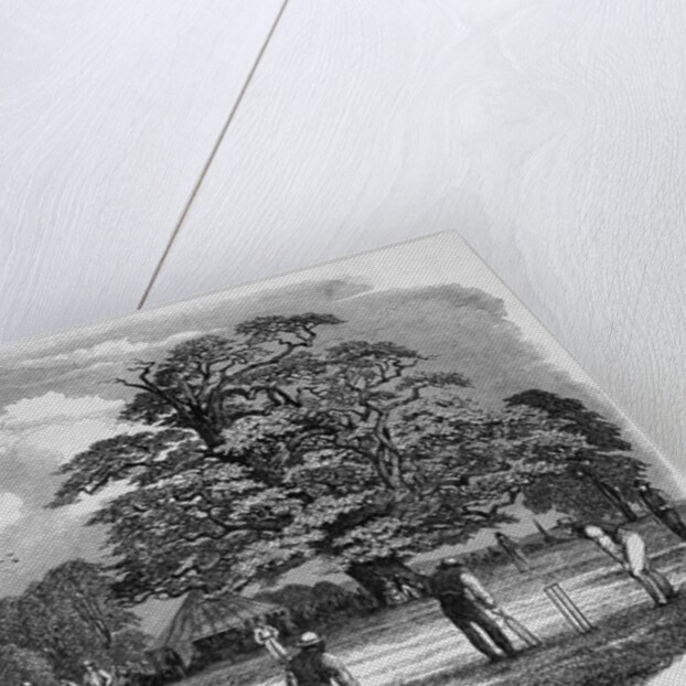 Cricket Game by Anonymous