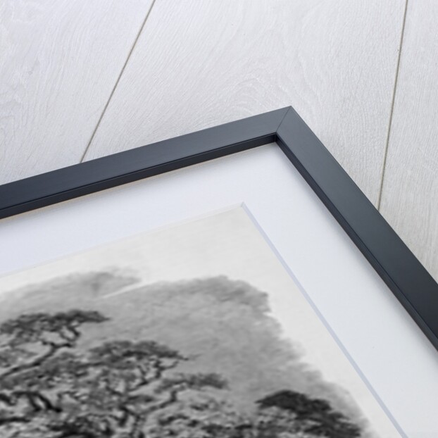 Cricket Game by Anonymous