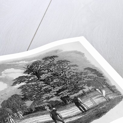 Cricket Game by Anonymous