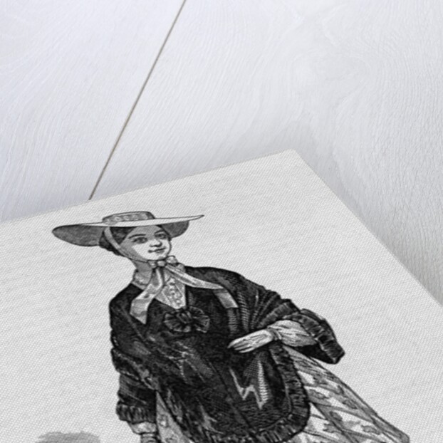 The New Female Costume Illustration by Anonymous