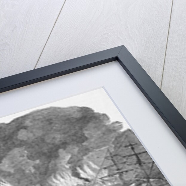 19th-Century Print of Great Fire in San Francisco by Anonymous