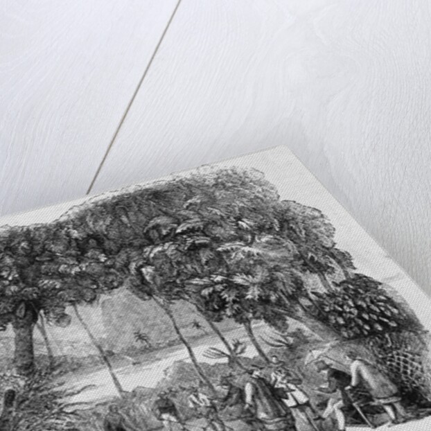 Cultivating Tea by Anonymous