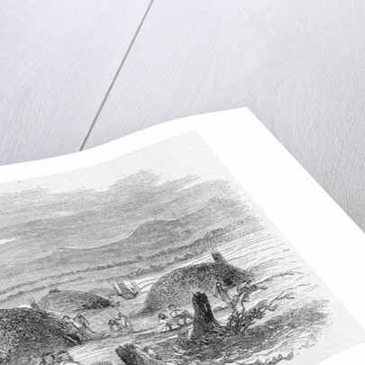 View of an Indian Rancheria, Yuba City, California Illustration by Anonymous