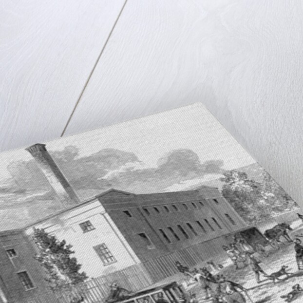 United States Mint by Anonymous