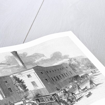 United States Mint by Anonymous