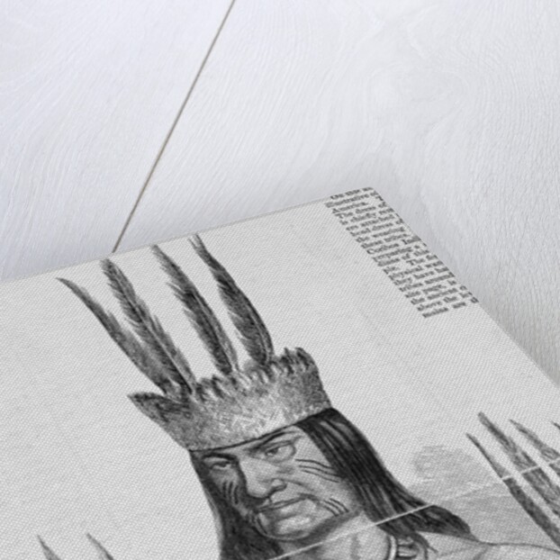 Portrait of a Tucuna Indian by Anonymous